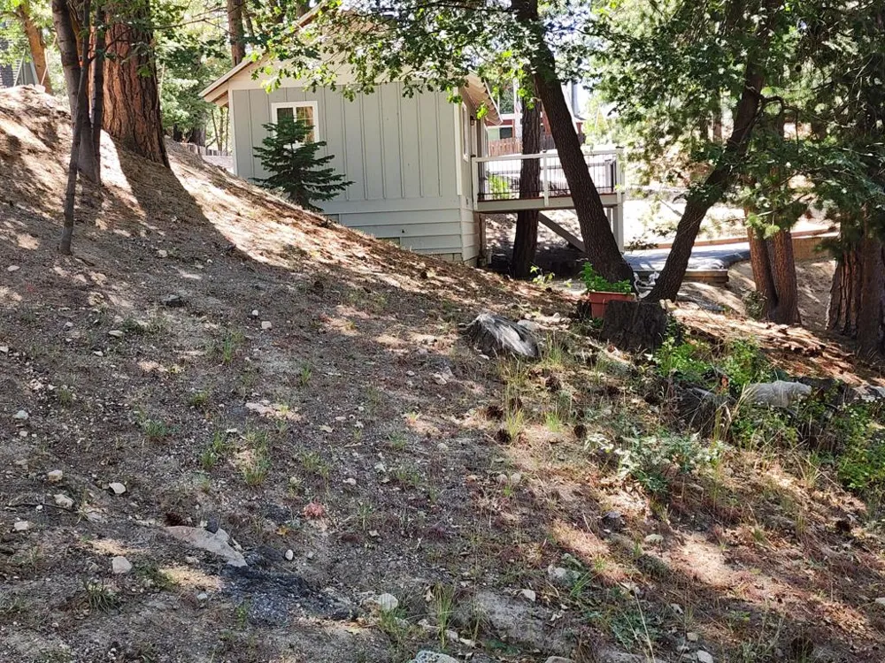 2481 Spruce Drive Arrowbear, CA 92382