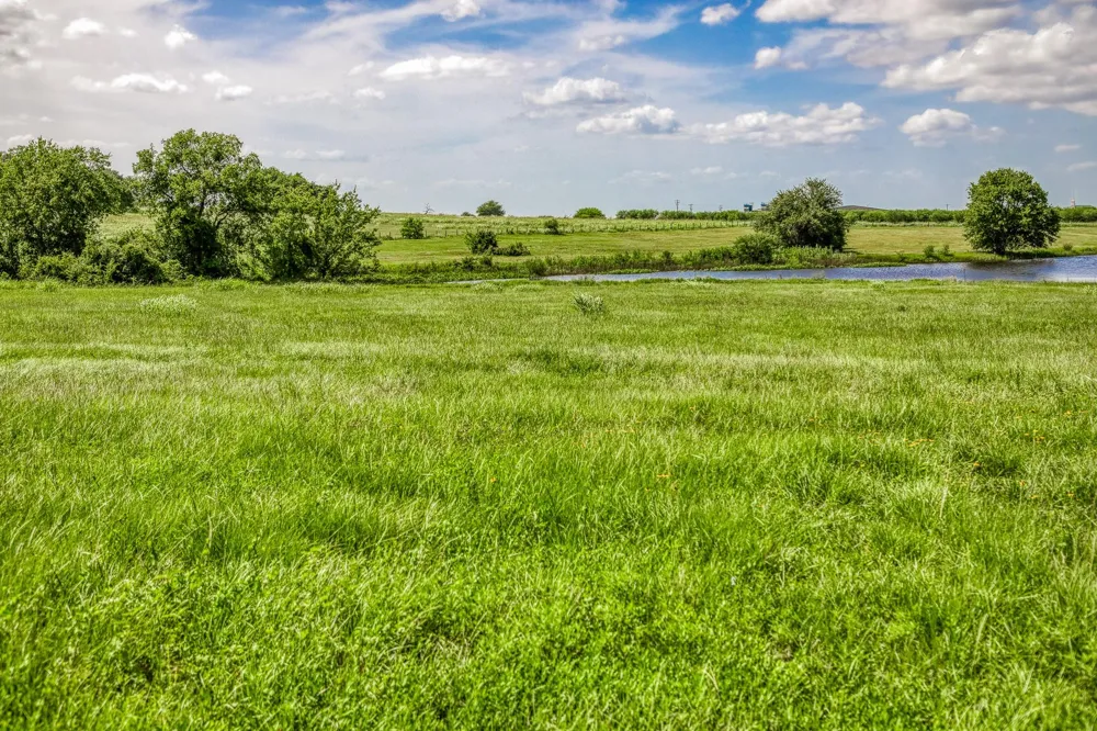 1070 Sledge Ct Chappell Hill, TX 77426