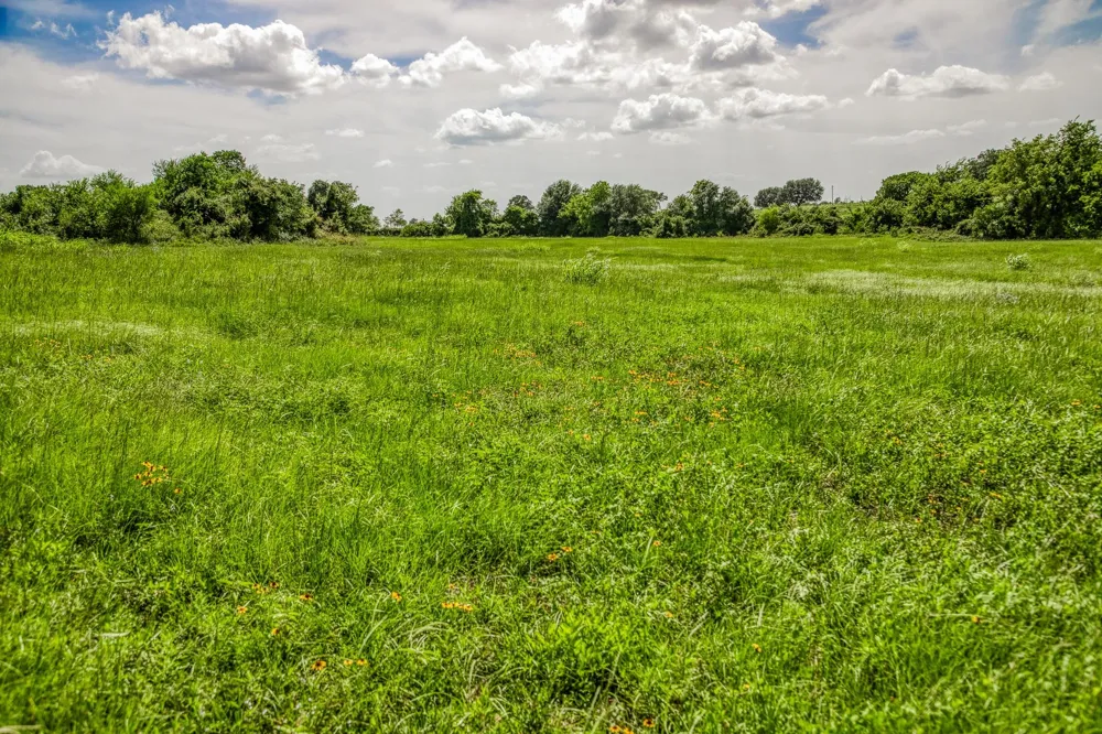 1070 Sledge Ct Chappell Hill, TX 77426