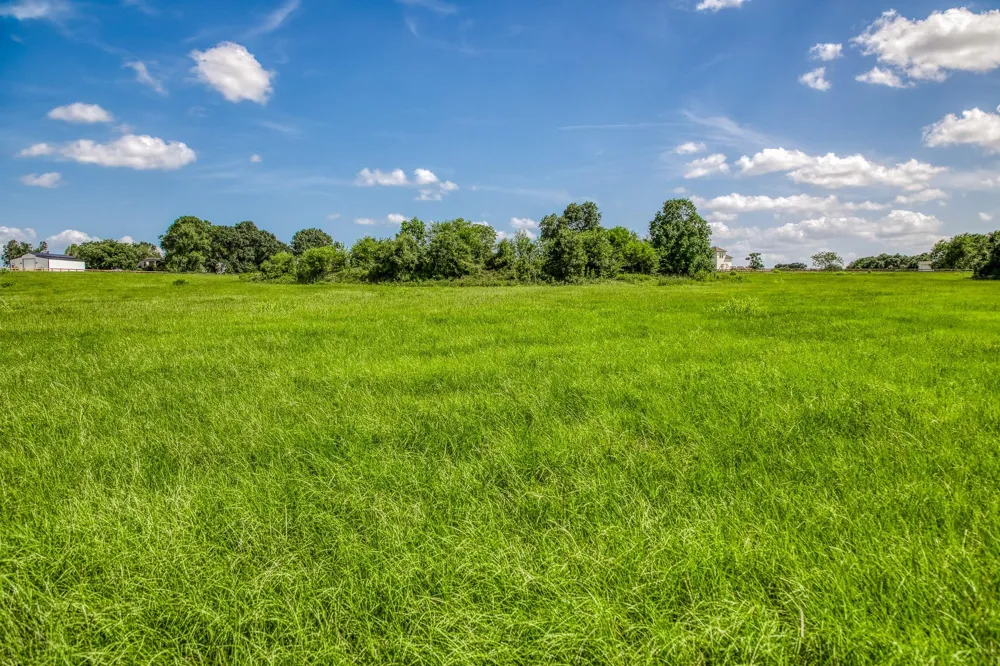 1070 Sledge Ct Chappell Hill, TX 77426