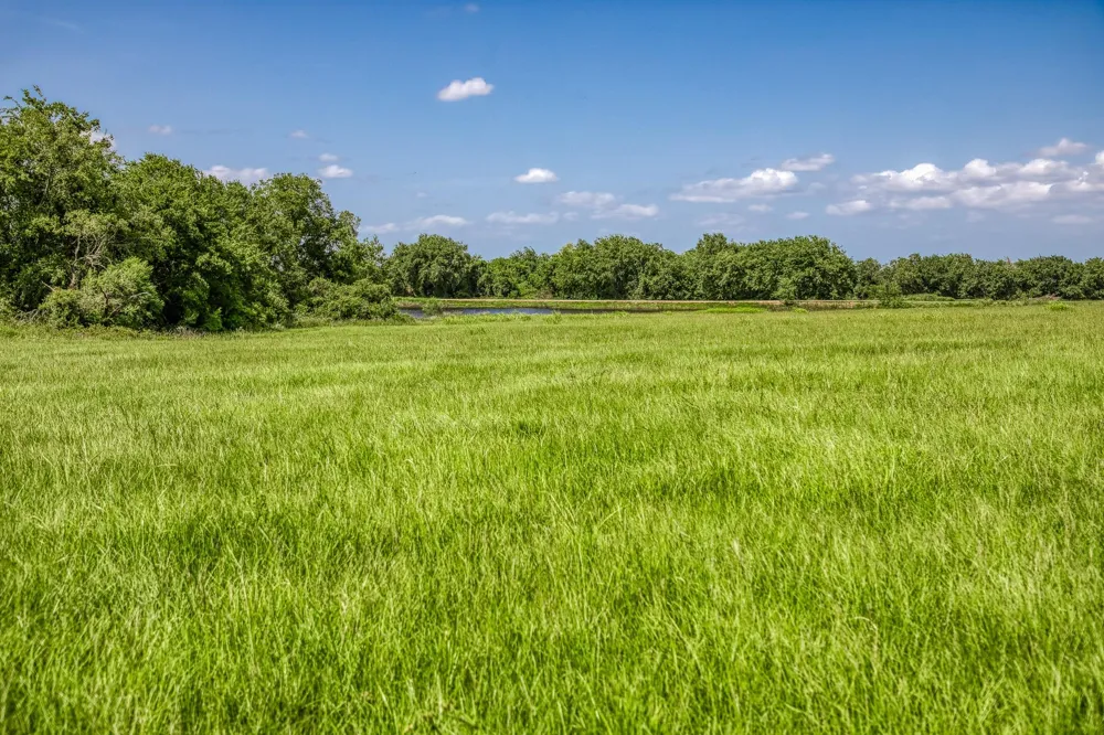 1070 Sledge Ct Chappell Hill, TX 77426