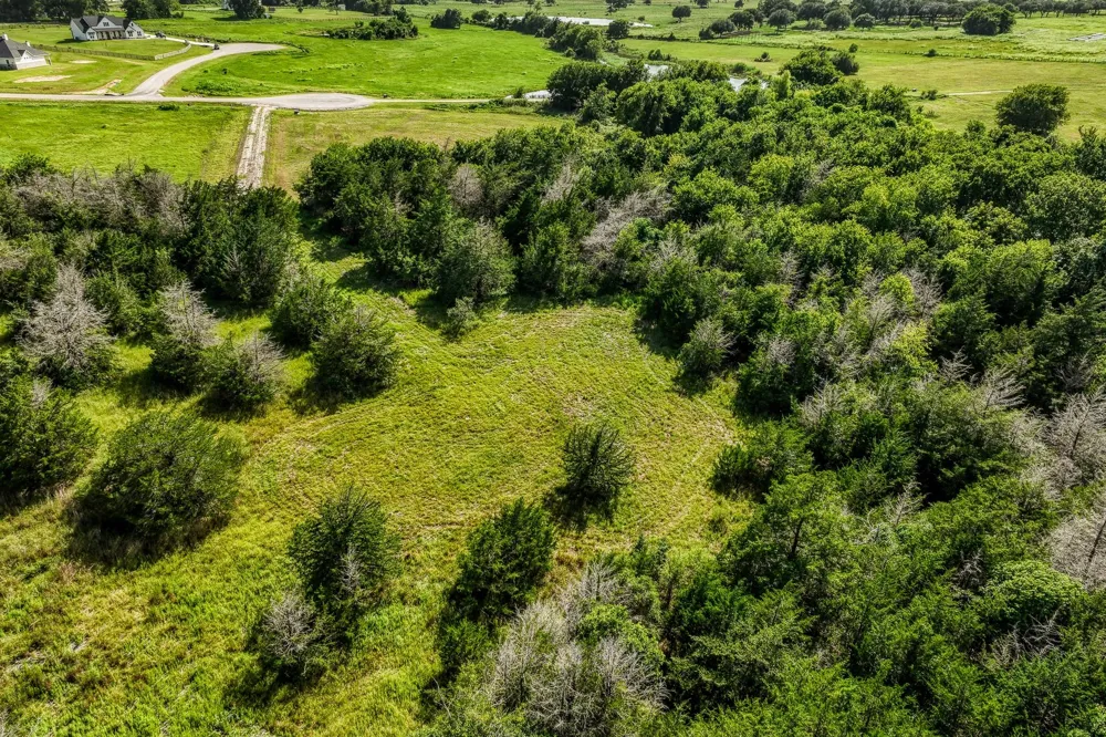 1544 Bluebonnet Ridge Dr Chappell Hill, TX 77426