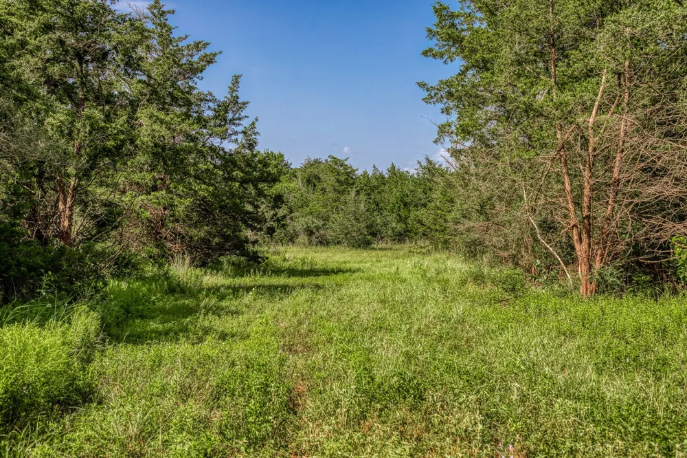1544 Bluebonnet Ridge Dr Chappell Hill, TX 77426