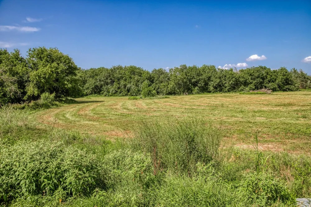 1544 Bluebonnet Ridge Dr Chappell Hill, TX 77426