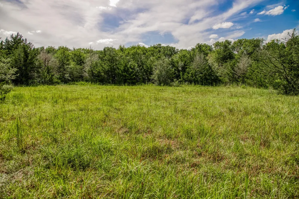 1544 Bluebonnet Ridge Dr Chappell Hill, TX 77426