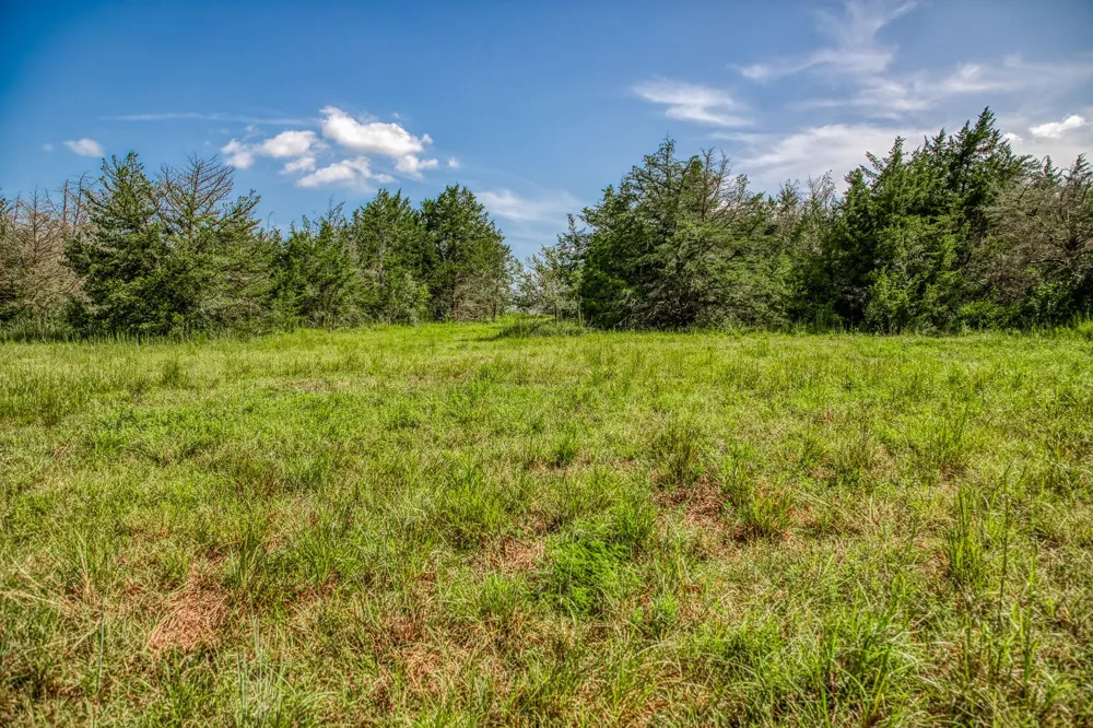1544 Bluebonnet Ridge Dr Chappell Hill, TX 77426