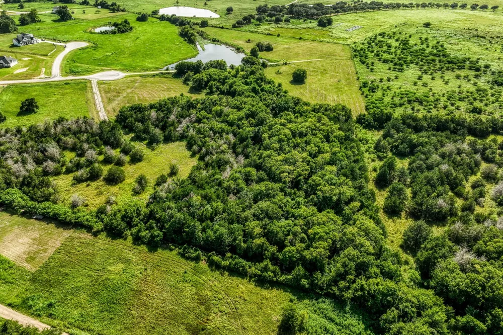 1544 Bluebonnet Ridge Dr Chappell Hill, TX 77426