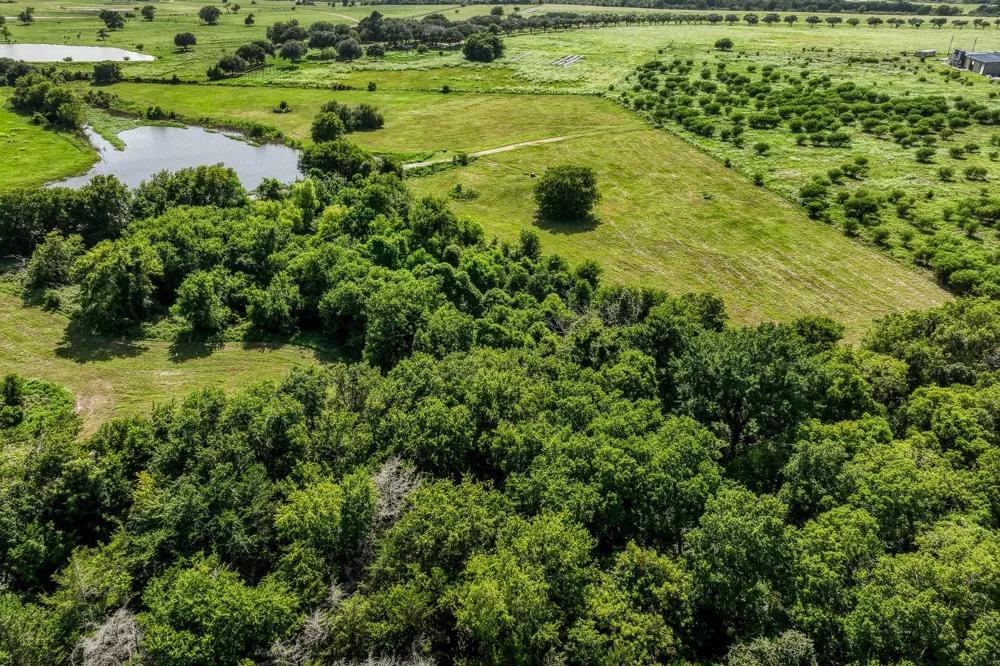 1554 Bluebonnet Ridge Dr Chappell Hill, TX 77426