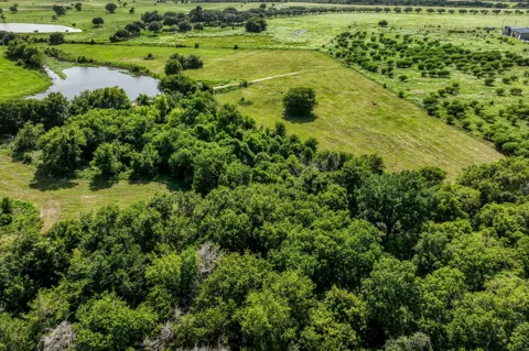1554 Bluebonnet Ridge Dr