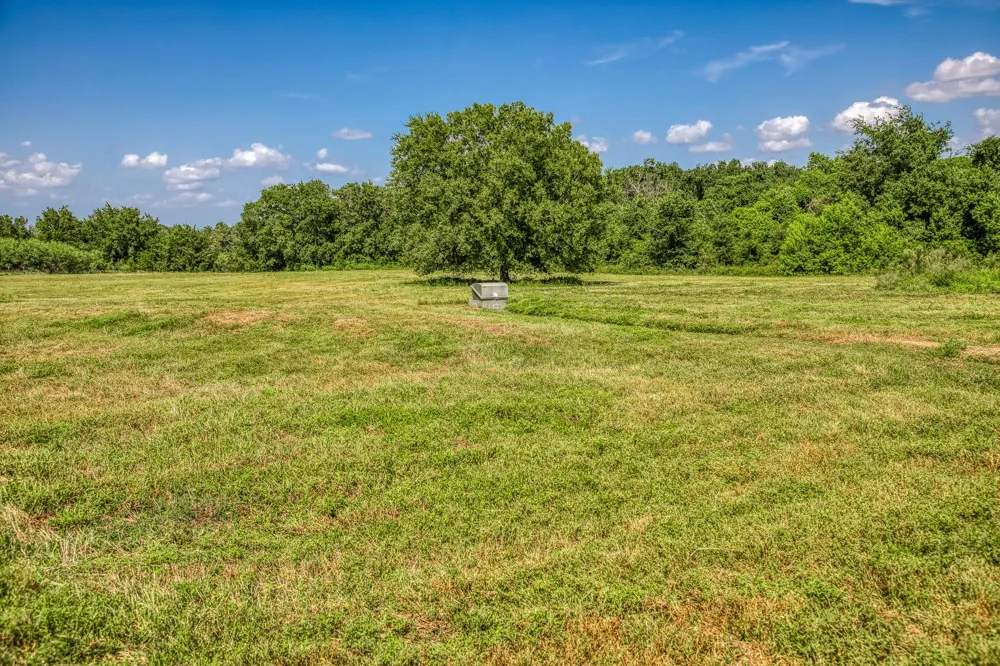 1554 Bluebonnet Ridge Dr Chappell Hill, TX 77426