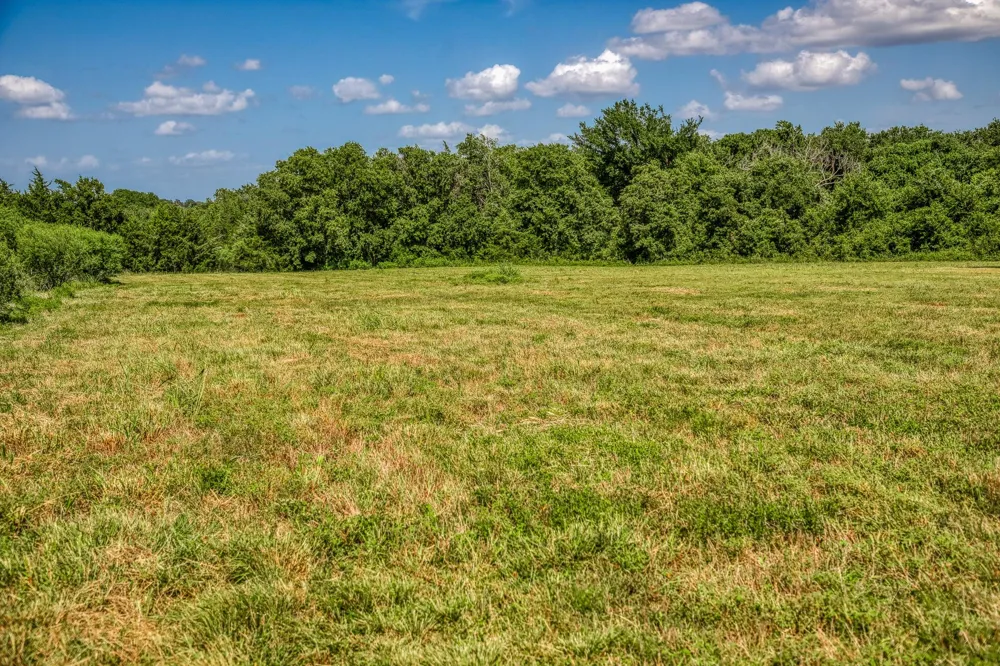1554 Bluebonnet Ridge Dr Chappell Hill, TX 77426