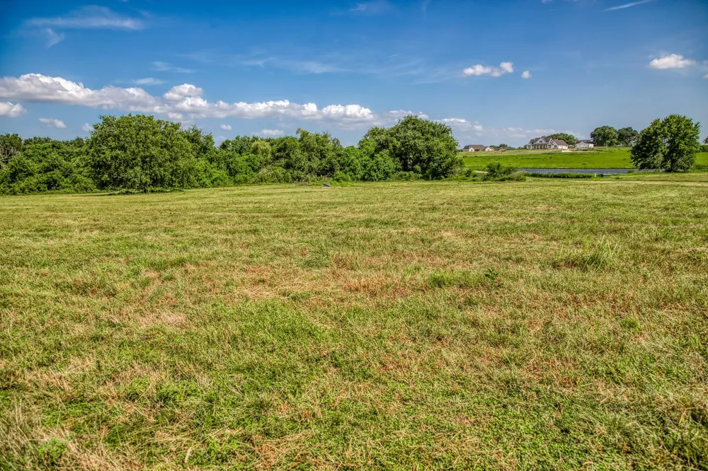 1554 Bluebonnet Ridge Dr Chappell Hill, TX 77426