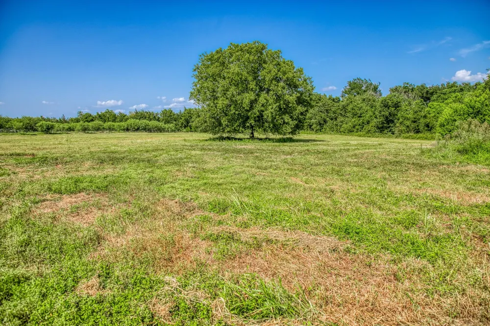 1554 Bluebonnet Ridge Dr Chappell Hill, TX 77426