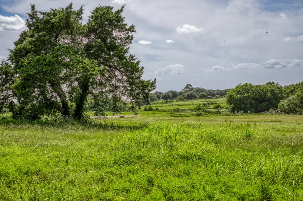 1518 Bluebonnet Ridge Dr Chappell Hill, TX 77426