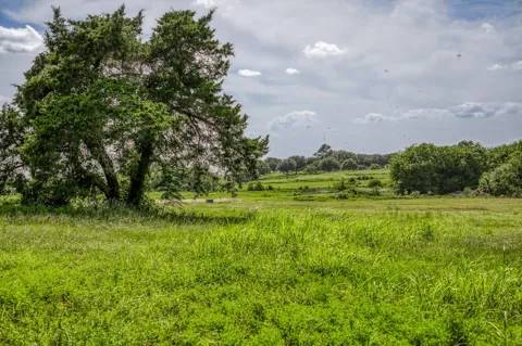 1518 Bluebonnet Ridge Dr