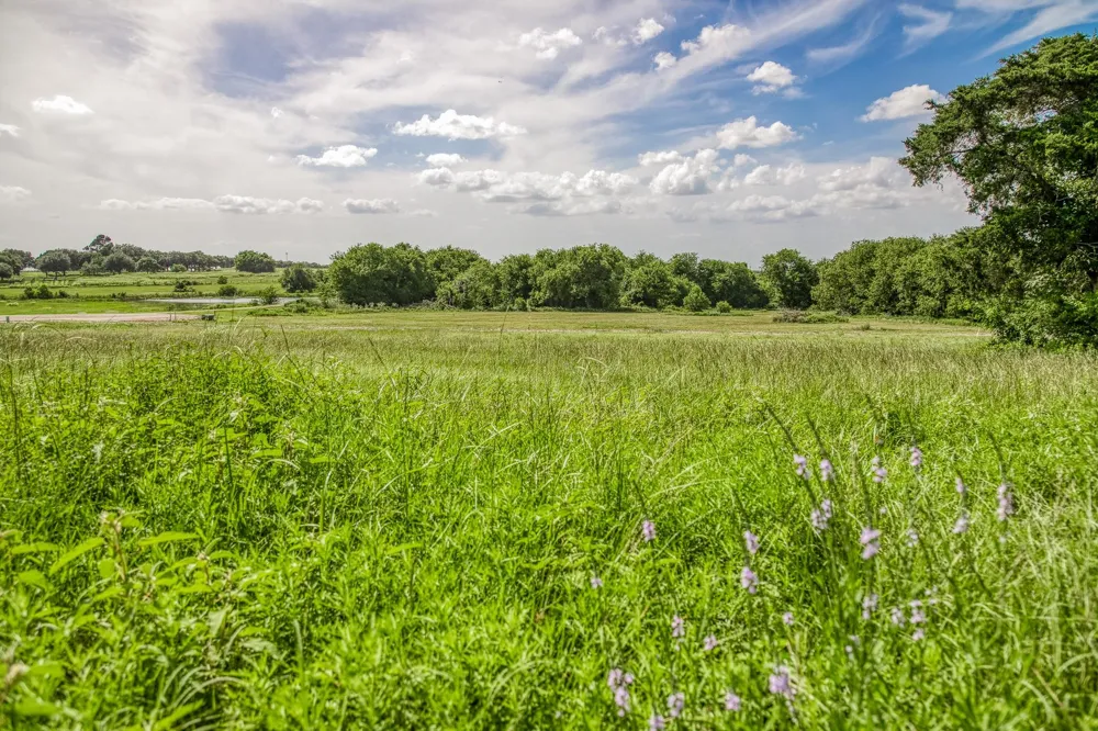 1518 Bluebonnet Ridge Dr Chappell Hill, TX 77426