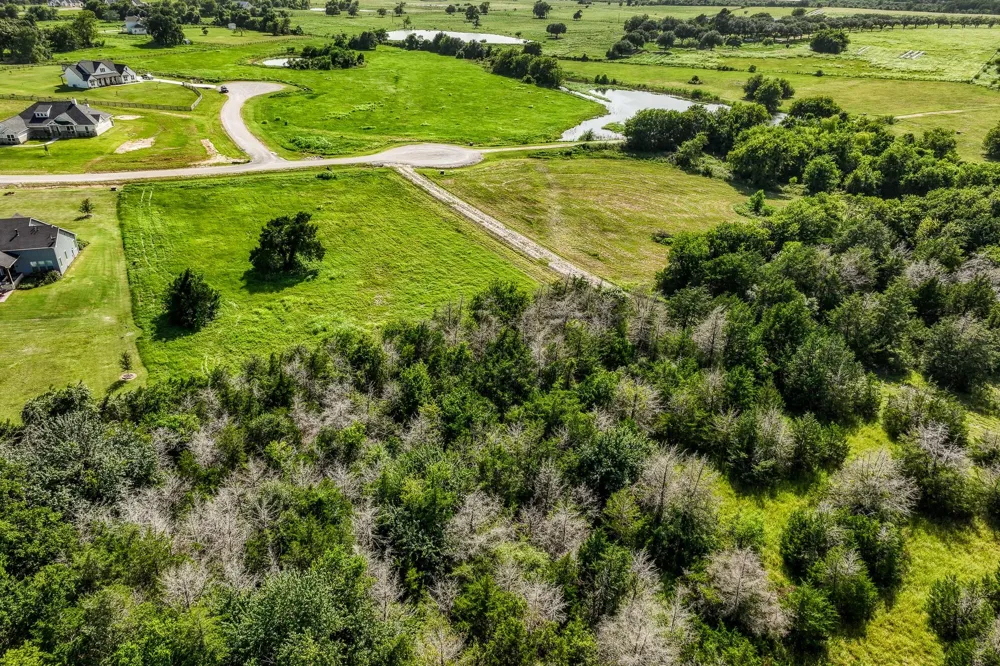 1518 Bluebonnet Ridge Dr Chappell Hill, TX 77426