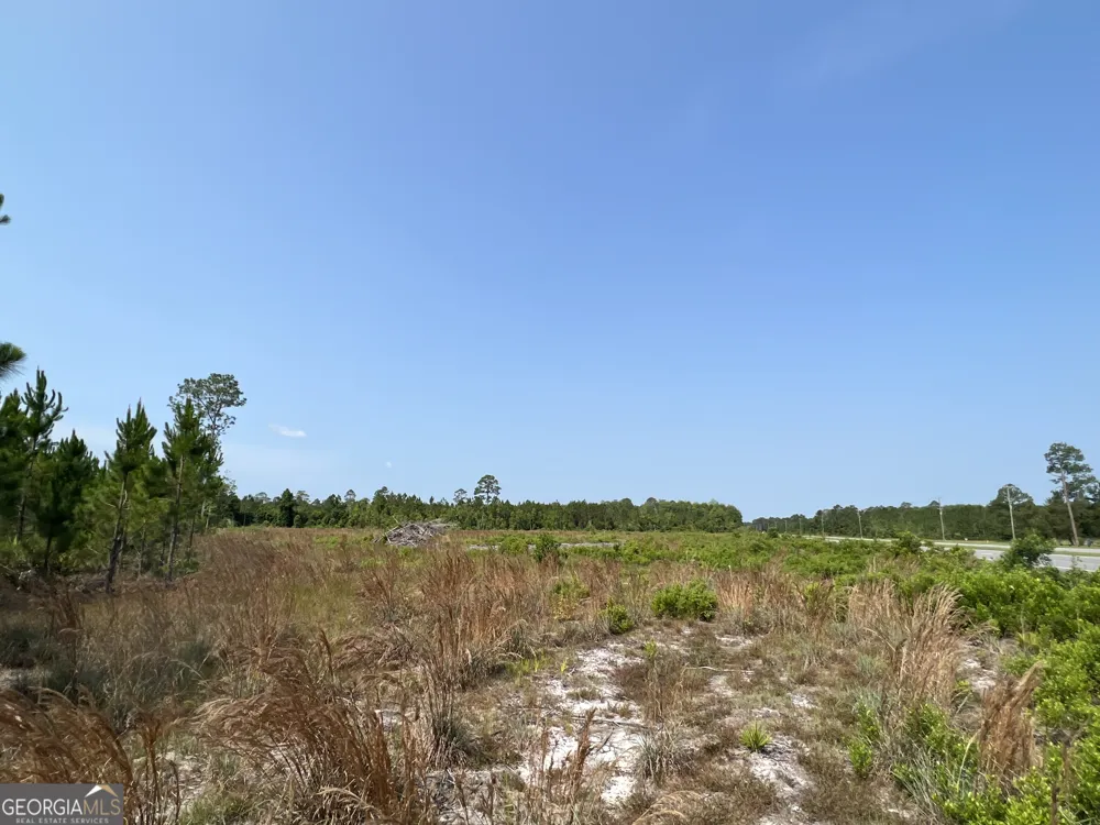 0 Highway 84 Homerville, GA 31634