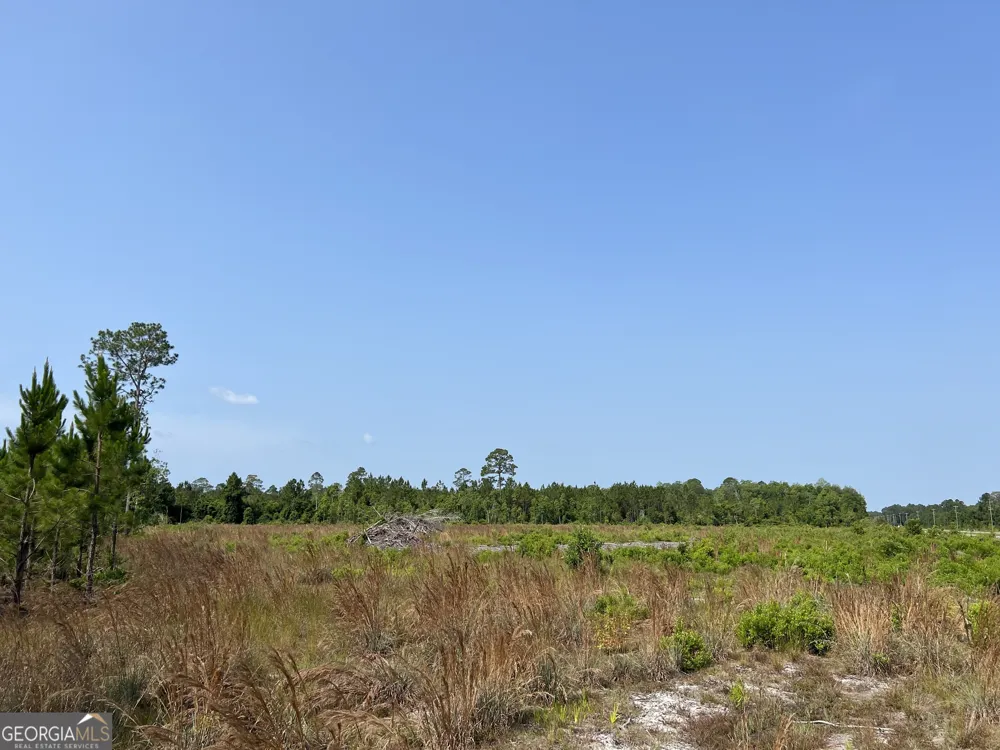 0 Highway 84 Homerville, GA 31634