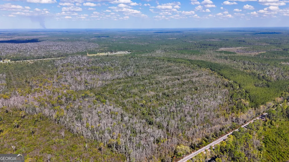 0 Highway 84 Homerville, GA 31634