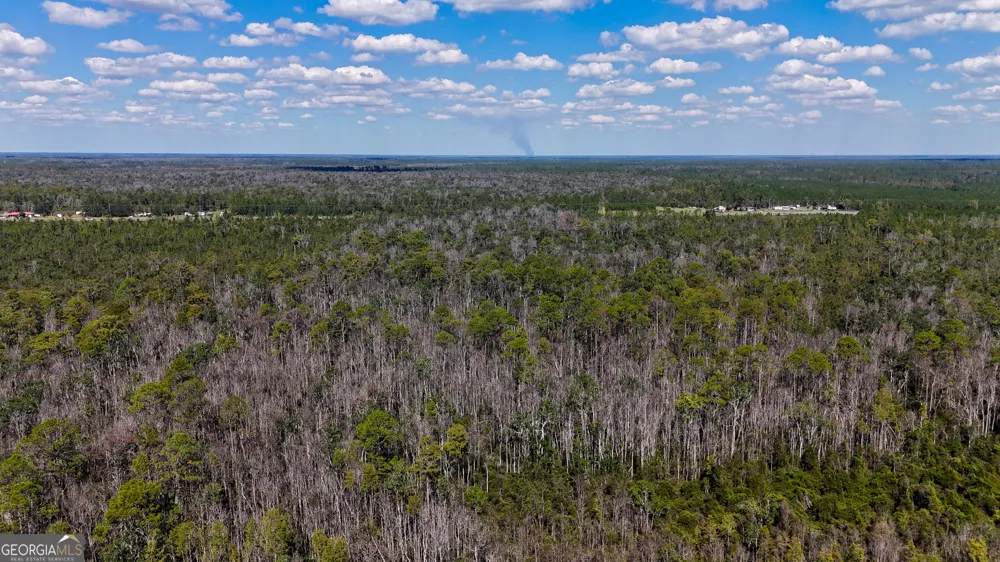 0 Highway 84 Homerville, GA 31634