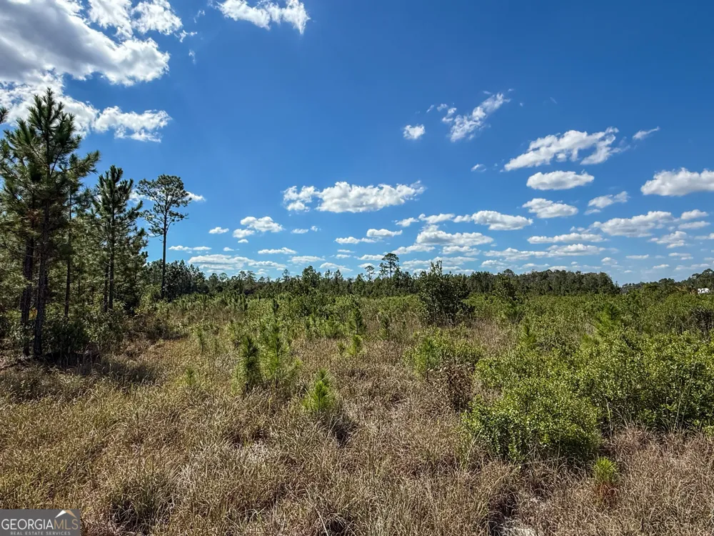 0 Highway 84 Homerville, GA 31634