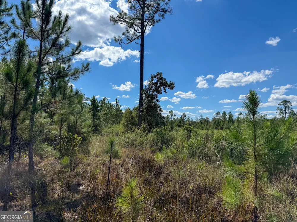 0 Highway 84 Homerville, GA 31634
