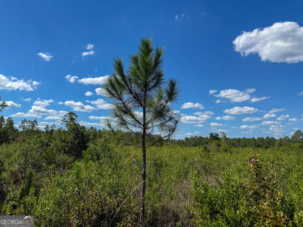 0 Highway 84 Homerville, GA 31634