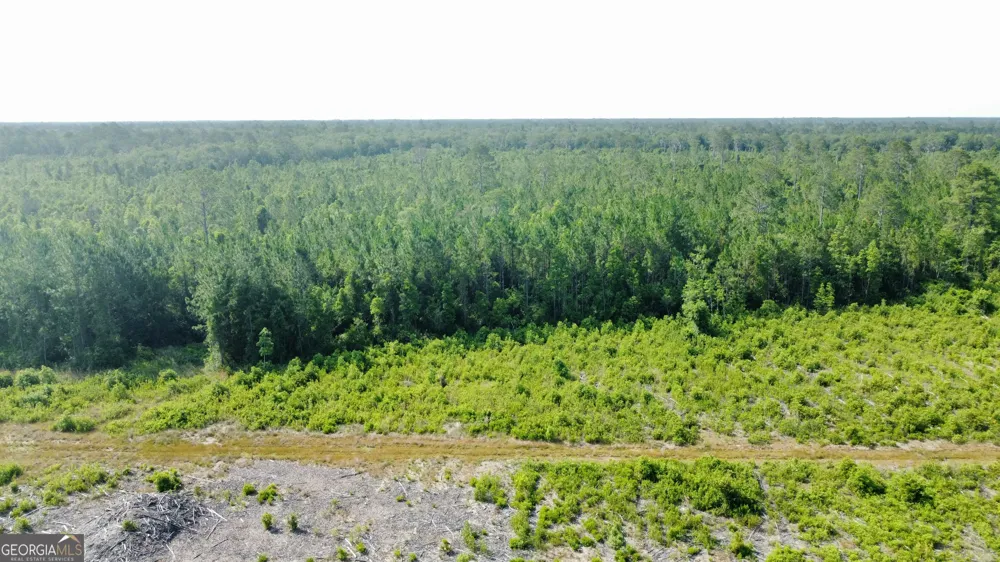 0 Highway 84 Homerville, GA 31634