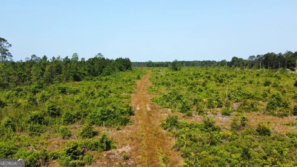0 Highway 84 Homerville, GA 31634