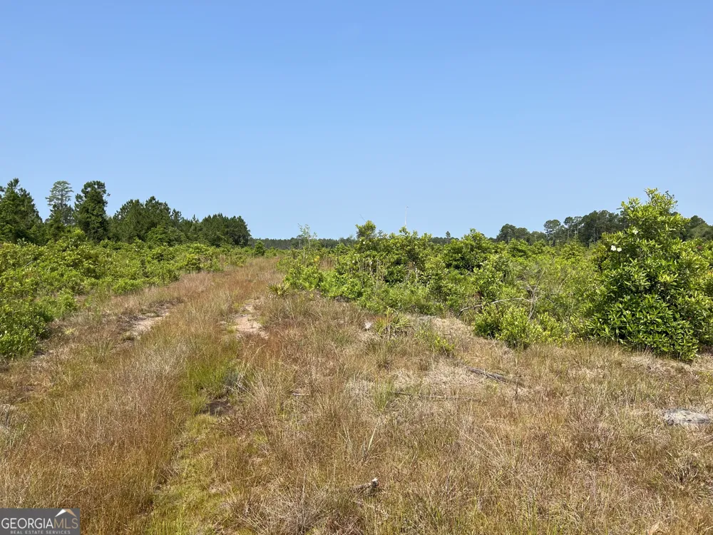 0 Highway 84 Homerville, GA 31634