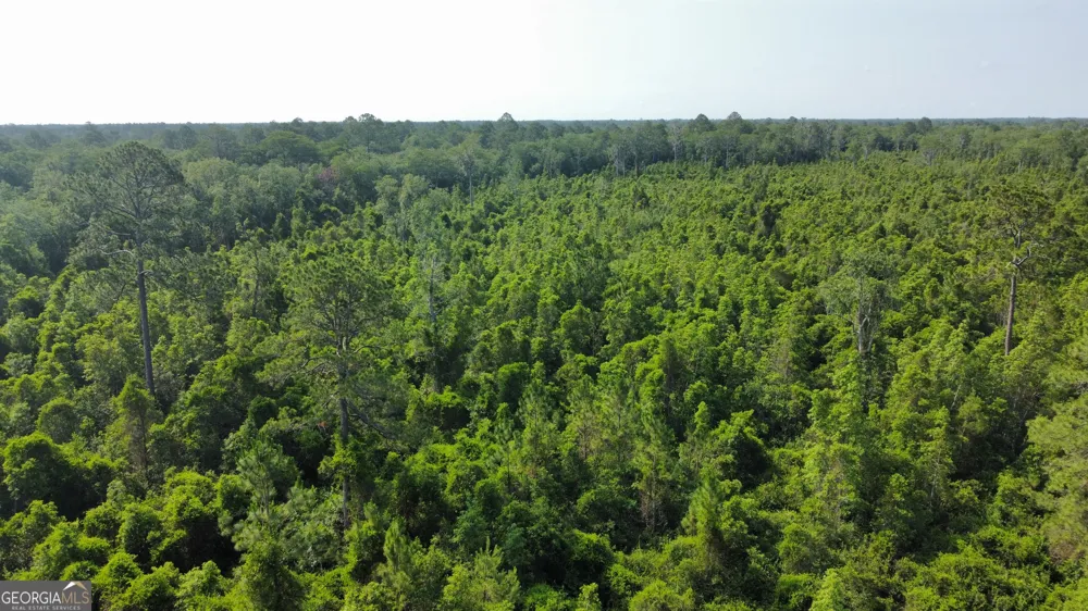 0 Highway 84 Homerville, GA 31634