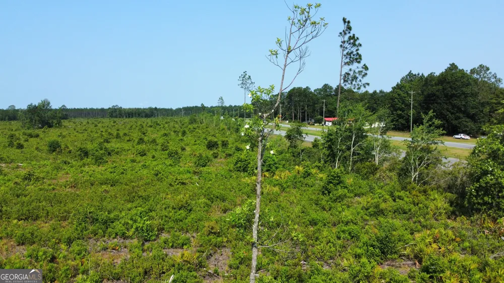 0 Highway 84 Homerville, GA 31634