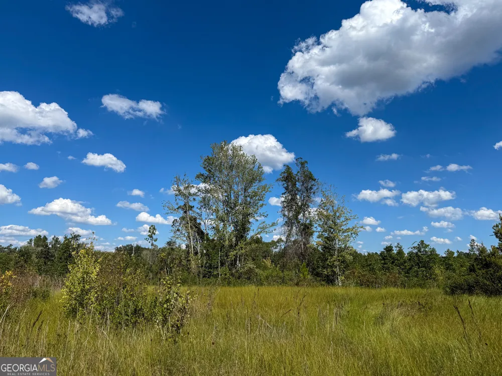 0 Highway 84 Homerville, GA 31634