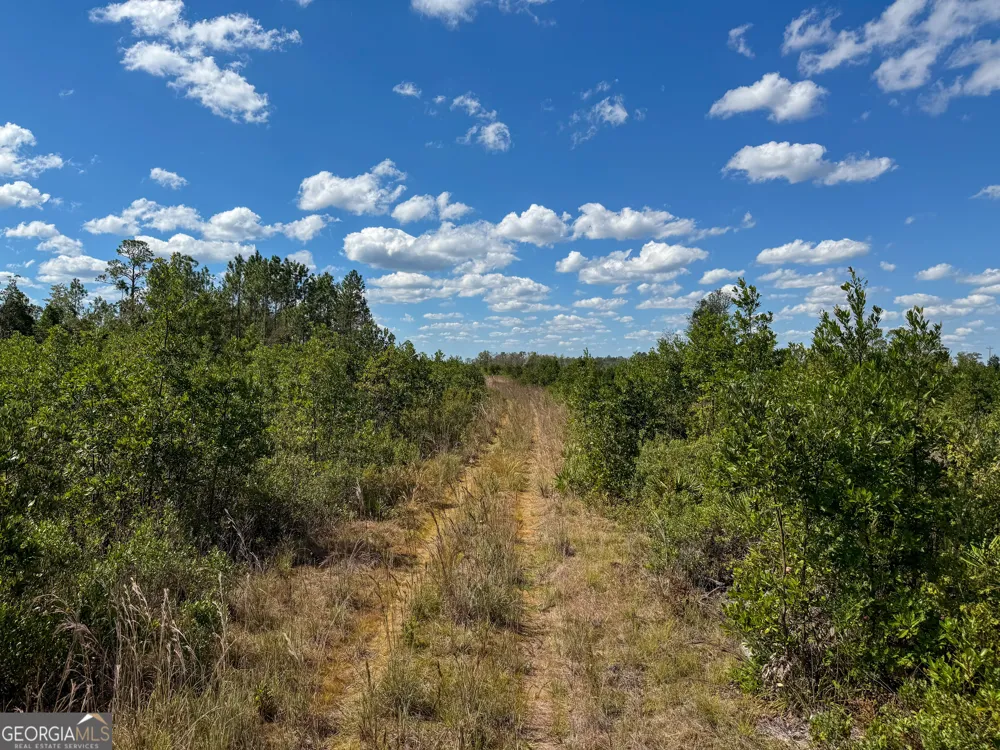 0 Highway 84 Homerville, GA 31634