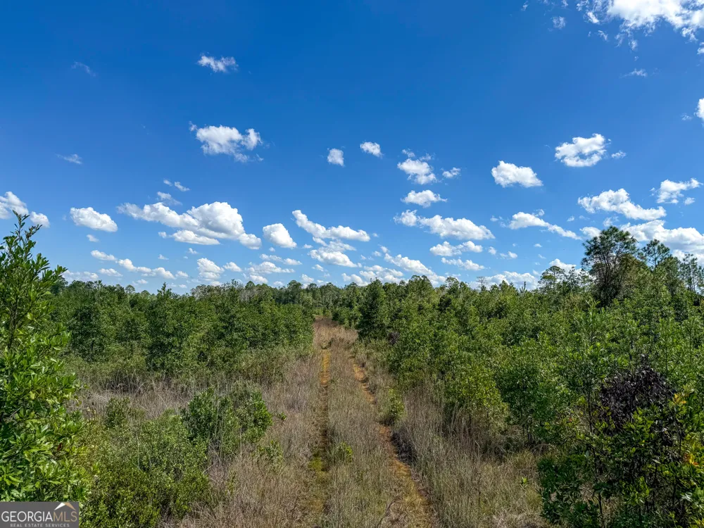 0 Highway 84 Homerville, GA 31634