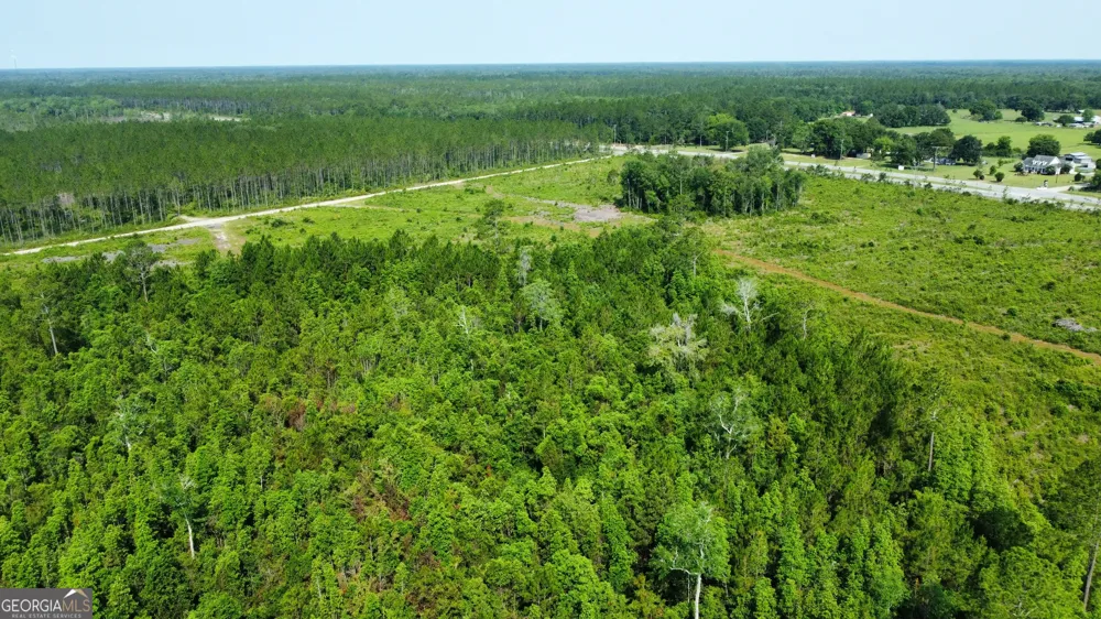 0 Highway 84 Homerville, GA 31634