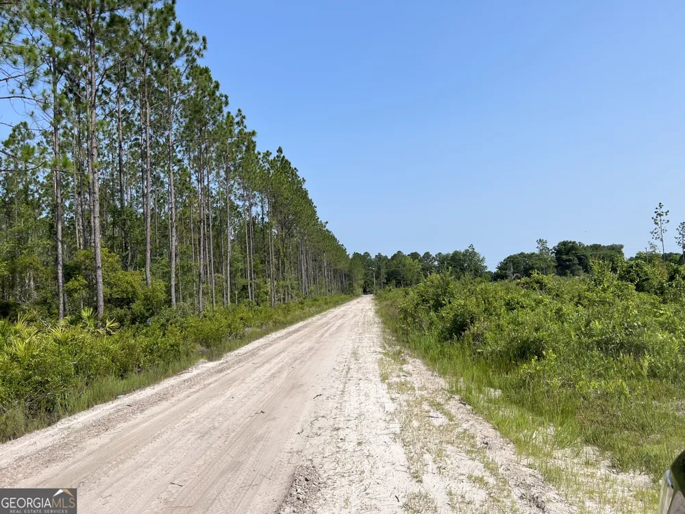 0 Highway 84 Homerville, GA 31634