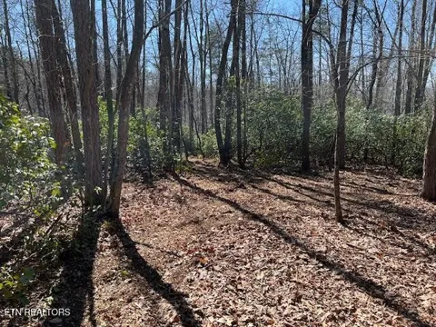 0 Cliff Park Rd