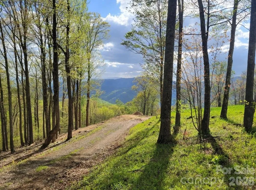 TBD Nicholas Knoll Road Bakersville, NC 28705