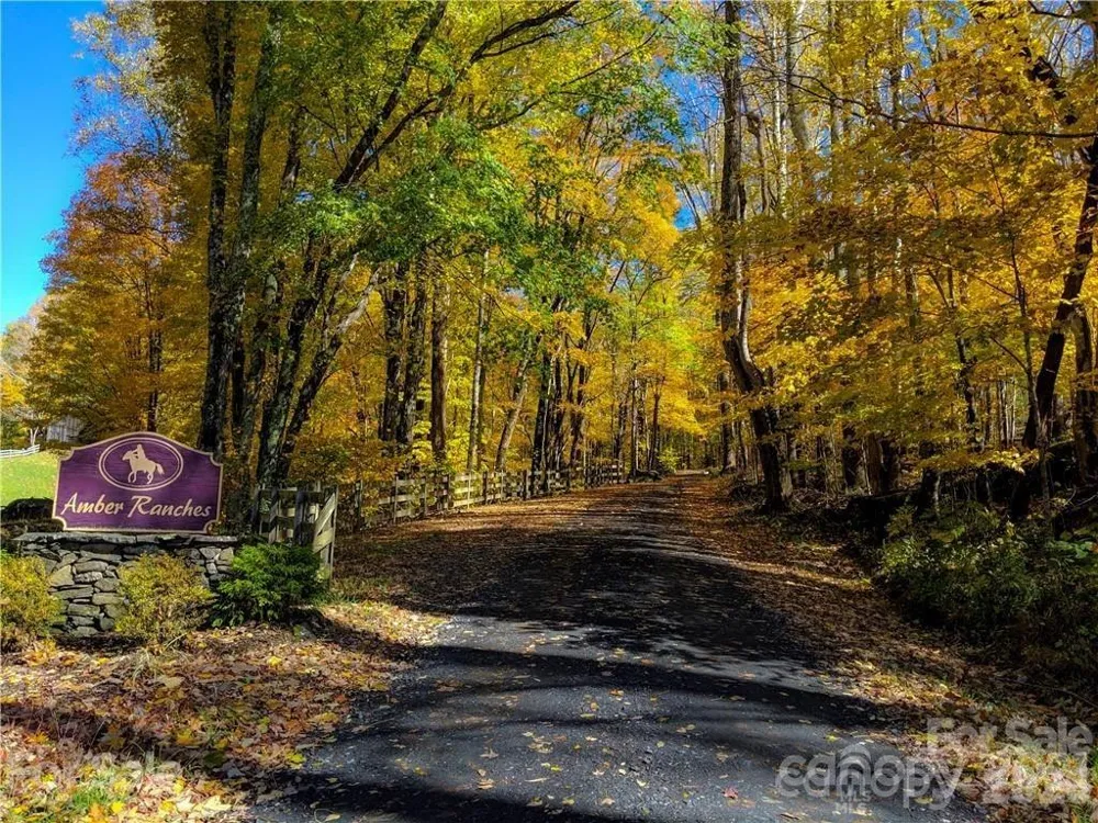 TBD Nicholas Knoll Road Bakersville, NC 28705