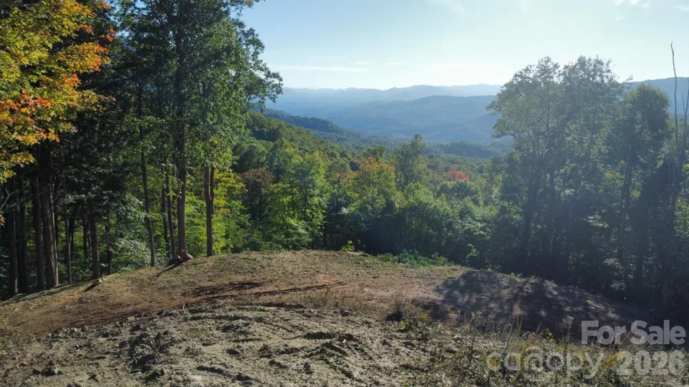 TBD Nicholas Knoll Road Bakersville, NC 28705