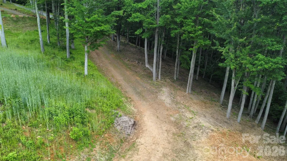TBD Nicholas Knoll Road Bakersville, NC 28705