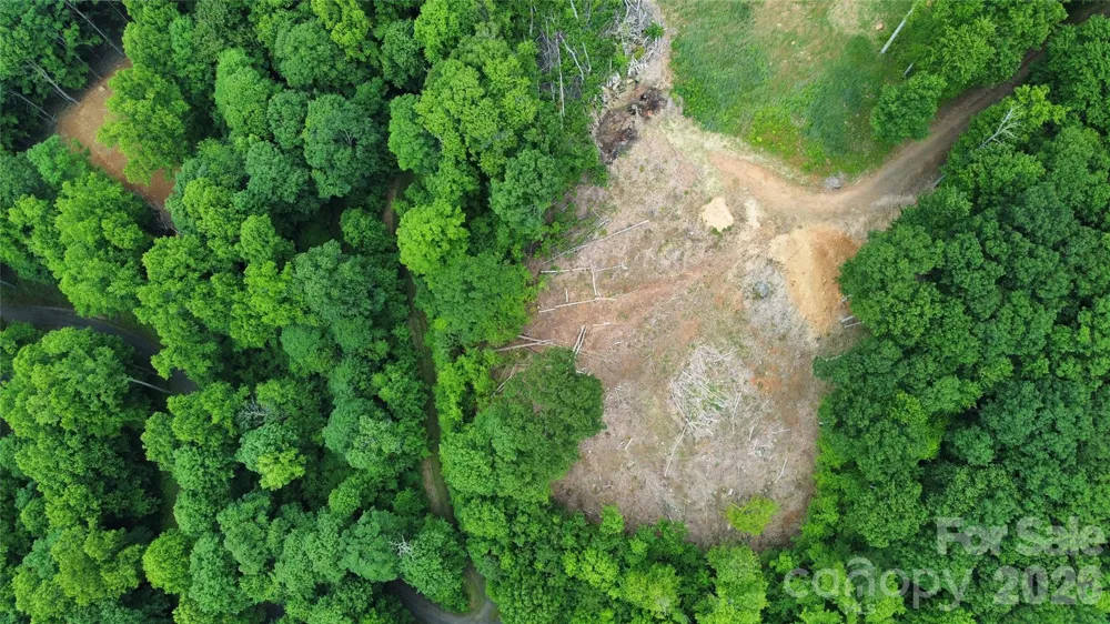 TBD Nicholas Knoll Road Bakersville, NC 28705