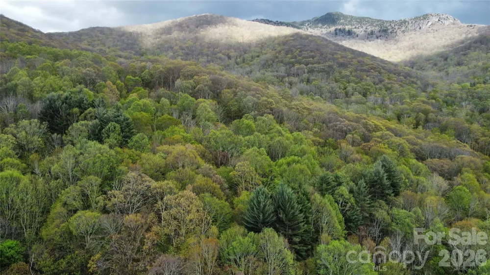TBD Nicholas Knoll Road Bakersville, NC 28705