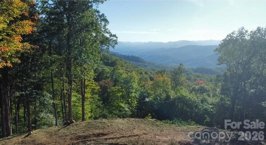 TBD Nicholas Knoll Road Bakersville, NC 28705