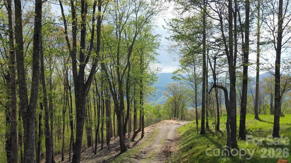 TBD Nicholas Knoll Road Bakersville, NC 28705