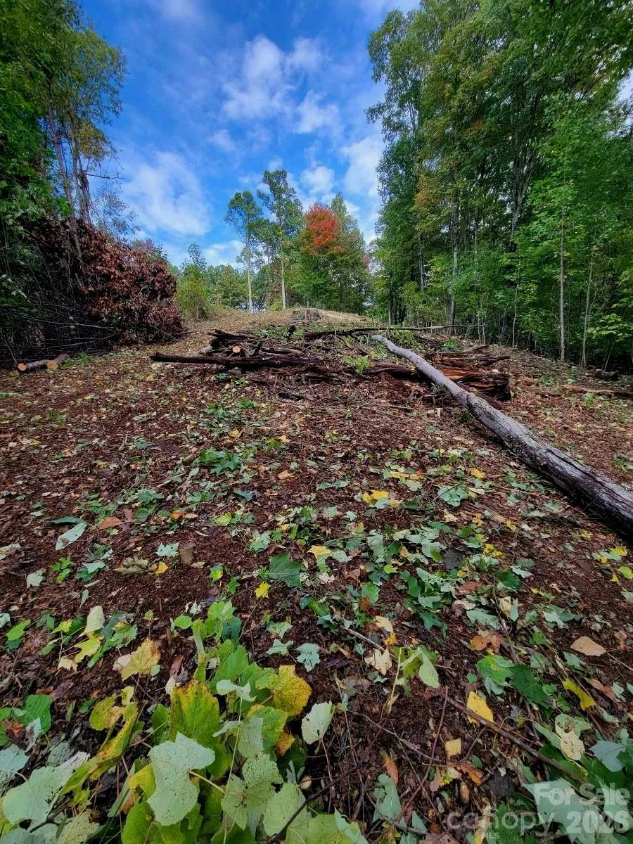 TBD Nicholas Knoll Road Bakersville, NC 28705