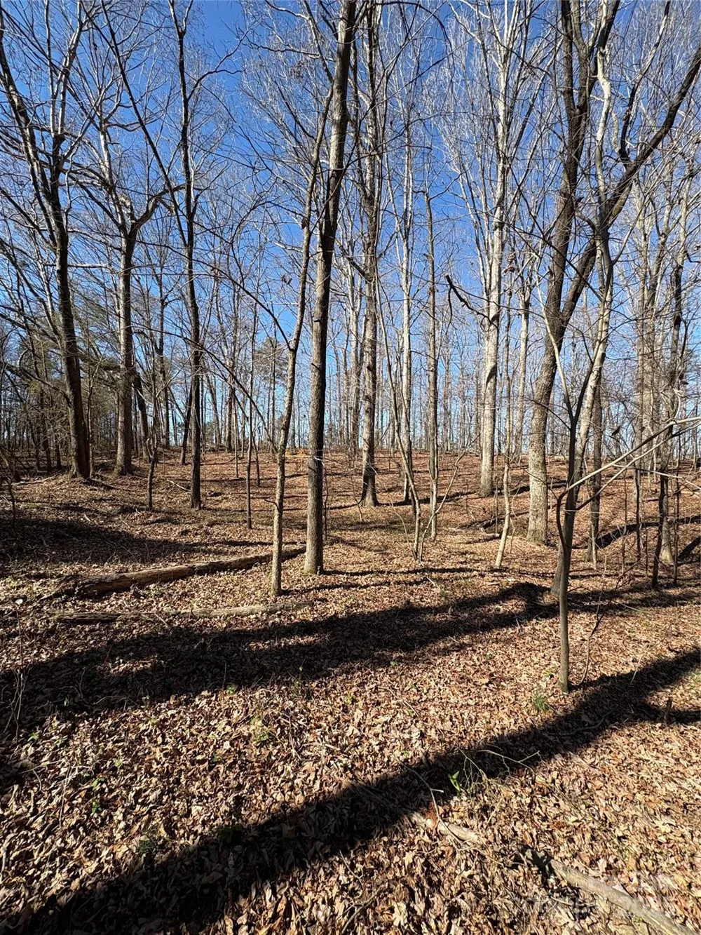 1417 Ellis Griffin Road Wingate, NC 28174
