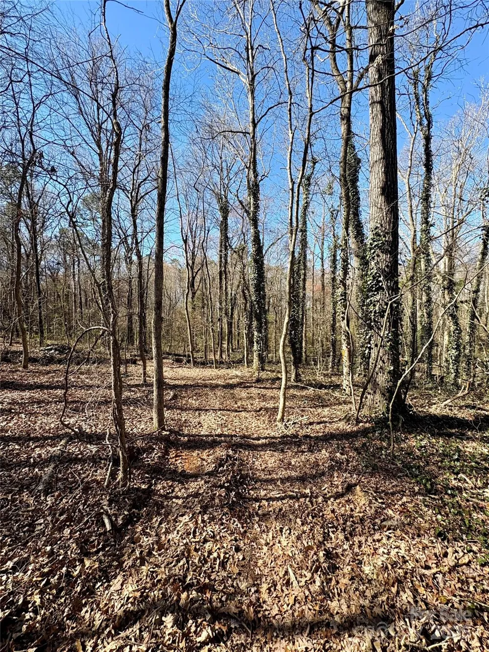 1417 Ellis Griffin Road Wingate, NC 28174